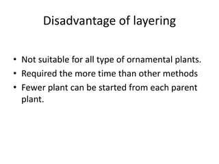 Disadvantage of layering
• Not suitable for all type of ornamental plants.
• Required the more time than other methods
• Fewer plant can be started from each parent
plant.
 