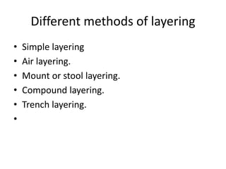 Different methods of layering
• Simple layering
• Air layering.
• Mount or stool layering.
• Compound layering.
• Trench layering.
•
 