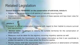 Leybucht-Wild-Birds-Protection-Case.pptx