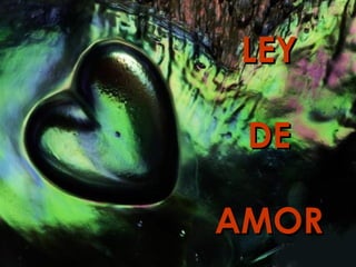 LEY DE AMOR 