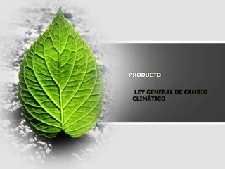 PRODUCTO
LEY GENERAL DE CAMBIO
CLIMÁTICO
 
