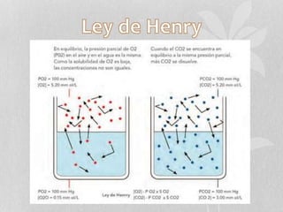 Ley de dalton y henry