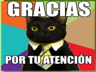 Ley de educacion principios