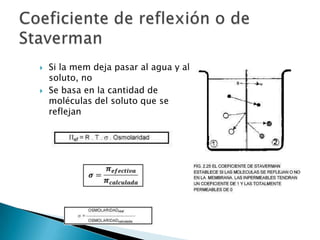 Si la mem deja pasar al agua y al
soluto, no
 Se basa en la cantidad de
moléculas del soluto que se
reflejan
 