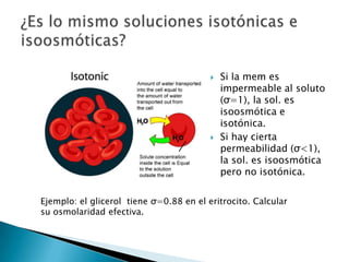  Si la mem es
impermeable al soluto
(σ=1), la sol. es
isoosmótica e
isotónica.
 Si hay cierta
permeabilidad (σ<1),
la sol. es isoosmótica
pero no isotónica.
Ejemplo: el glicerol tiene σ=0.88 en el eritrocito. Calcular
su osmolaridad efectiva.
 