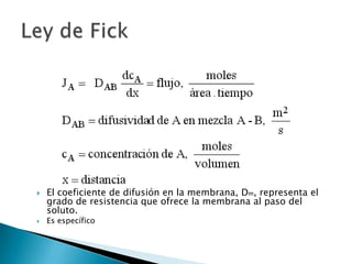  El coeficiente de difusión en la membrana, Dm, representa el
grado de resistencia que ofrece la membrana al paso del
soluto.
 Es específico
 
