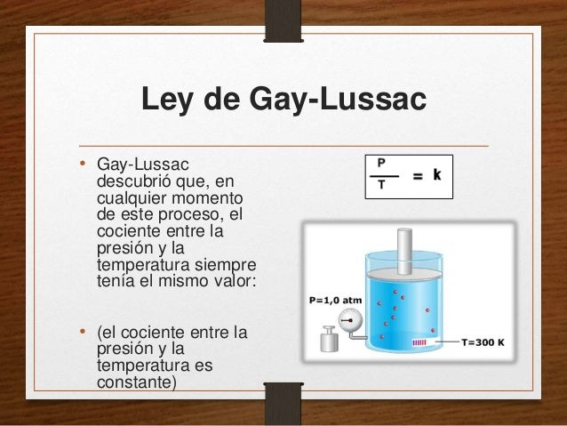 Ley Gay 117
