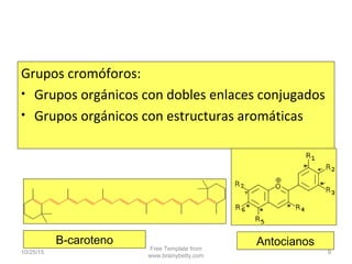 Grupos cromóforos:
• Grupos orgánicos con dobles enlaces conjugados
• Grupos orgánicos con estructuras aromáticas
10/25/15
Free Template from
www.brainybetty.com
9
Β-caroteno Antocianos
 