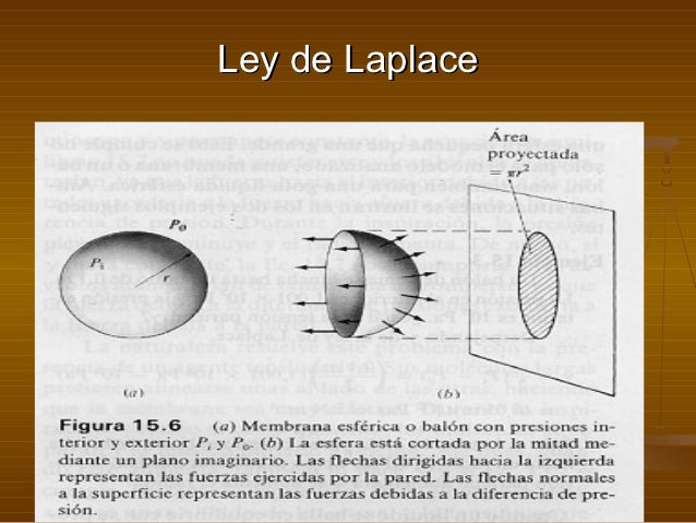 Art 2a Ley Ieps | ley de ieps 2016 art 2a strangerbythewaycom ley ieps Art 2a Ley Ieps | ley de ieps 2016 art 2a strangerbythewaycom ley ieps