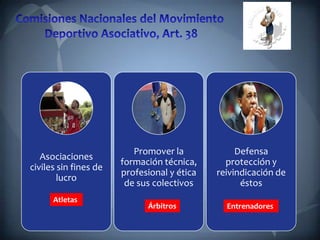 Asociaciones
civiles sin fines de
lucro
Promover la
formación técnica,
profesional y ética
de sus colectivos
Defensa
protección y
reivindicación de
éstos
Atletas
Árbitros Entrenadores
 