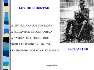 LA LEY HUMANA QUE CONSAGRA  LA ESCLAVITUD ES CONTRARIA A  LA NATURALEZA, PUESTO QUE  ASIMILA EL HOMBRE AL BRUTO  Y LE DEGRADA MORAL Y FISICAMENTE ESCLAVITUD LEY DE LIBERTAD Ana Escobar 