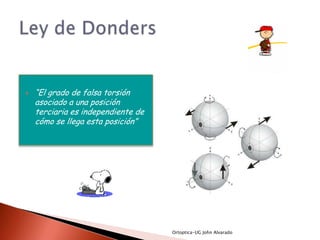    “El grado de falsa torsión
    asociado a una posición
    terciaria es independiente de
    cómo se llega esta posición”




                                    Ortoptica-UG John Alvarado
 