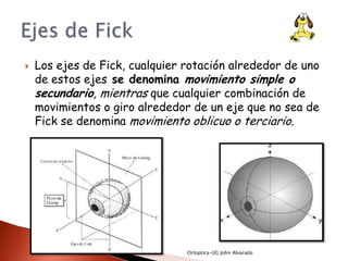    Los ejes de Fick, cualquier rotación alrededor de uno
    de estos ejes se denomina movimiento simple o
    secundario, mientras que cualquier combinación de
    movimientos o giro alrededor de un eje que no sea de
    Fick se denomina movimiento oblicuo o terciario.




                                Ortoptica-UG John Alvarado
 
