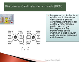    Los puntos cardinales de la
         mirada son 6 direcciones
         direcciones o puntos
         cardinales, partiendo del
         centro y retornando al
         punto central, que
         corresponde a los
         movimientos que le
         imprimen al globo ocular
         cada uno de los músculos
         extrínsecos




Ortoptica-UG John Alvarado
 
