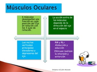 6 músculos         La acción extra de
desempeñan una      los músculos
función en cada
posición del Ojo    depende de la
en relación con     dirección del ojo
los 3 ejes de       en el espacio
rotación.




Los rectos           RM y RL=
verticales           Abducción y
principales          aducción
elevadores y         Oblicuos realizan
depresores del       la intorsión y
ojo.                 extorción




                   Ortoptica-UG John Alvarado
 