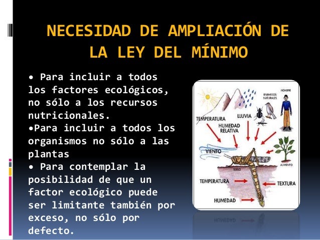 Ley del minimo y la ley de tolerancia 2do parcial