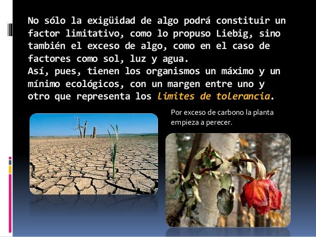 Ley del minimo y la ley de tolerancia 2do parcial