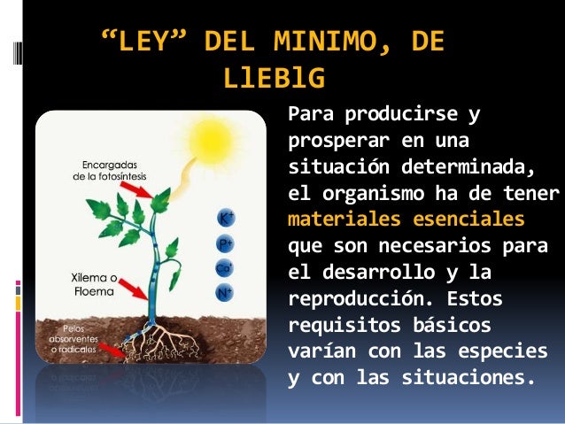 Ley del minimo y la ley de tolerancia 2do parcial