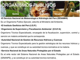 Formular, aprobar, ejecutar, coordinar, supervisar y evaluar el Plan y la Agenda Nacional de Acción Ambiental.