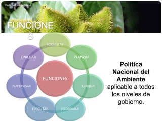 FUNCIONESPolítica Nacional del Ambiente aplicable a todos los niveles de gobierno.