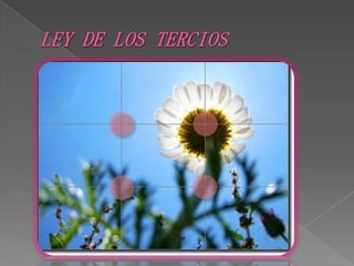 LEY DE LOS TERCIOS