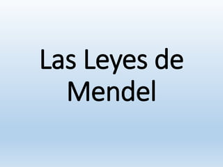 Las Leyes de
Mendel
 