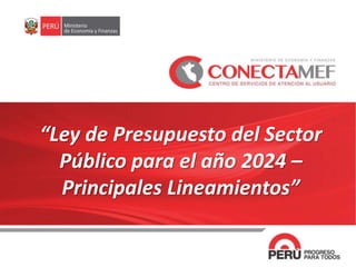 “Ley de Presupuesto del Sector
Público para el año 2024 –
Principales Lineamientos”
1
 