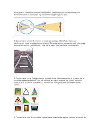 aun cuando la información sensorial indica cambios. Las constancias son importantes para
mantener el orden en percepción. Algunas constancias preceptúales son:




1- Constancia de tamaño; Si miramos un objeto que se aleja, el tamaño del mismo va
disminuyendo, o sea, se va viendo mas pequeño. Sin embargo, ante ese cambio en la información
sensorial, el cerebro no se equivoca y sabe que el objeto sigue siendo del mismo tamaño




2- Constancia de forma: Cuando miramos un objeto desde diferentes angulos, la forma en que el
mismo se proyecta en la retina varia. Sin embargo, el cerebro entiende que se trata del mismo
objeto, que no ha variado en su forma, a pesar de que la imagen que se proyecta en la retina
cambia.




3- Constancia de color: El color de los objetos puede experimentar algunas variantes en funcion del
 