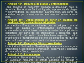• Artículo 18º.- Denuncia de plagas y enfermedades
Toda persona se encuentra obligada a denunciar, ante la
Autoridad Nacional en Sanidad Agraria, la presencia de plagas
y enfermedades de importancia cuarentenaria, así como de
aquellas que por primera vez se determine su presencia en el
país.
• Artículo 19º.- Obligatoriedad de poner en práctica las
medidas fito y zoosanitarias adoptadas
Las medidas Fito y zoosanitarias que se adopten para el
control de plagas y enfermedades denunciadas de
conformidad con el artículo precedente serán de cumplimiento
obligatorio por parte de los propietarios u ocupantes, bajo
cualquier título, del predio o establecimiento respectivo, o a los
propietarios o transportistas del lote de productos de que se
trate, inclusive con recursos propios si fuere necesario.
• Artículo 20º.- Campañas Fito y zoosanitarias
La Autoridad Nacional en Sanidad Agraria tendrá a su cargo la
organización, coordinación, promoción, supervisión y ejecución
de campañas Fito y zoosanitarias.
• Artículo 21º.- Inspecciones
La Autoridad Nacional en Sanidad Agraria podrá inspeccionar
en cualquier momento el estado sanitario de plantas y
 