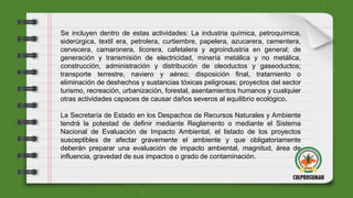 Se incluyen dentro de estas actividades: La industria química, petroquímica,
siderúrgica, textil era, petrolera, curtiembre, papelera, azucarera, cementera,
cervecera, camaronera, licorera, cafetalera y agroindustria en general; de
generación y transmisión de electricidad, minería metálica y no metálica,
construcción, administración y distribución de oleoductos y gaseoductos;
transporte terrestre, naviero y aéreo; disposición final, tratamiento o
eliminación de deshechos y sustancias tóxicas peligrosas; proyectos del sector
turismo, recreación, urbanización, forestal, asentamientos humanos y cualquier
otras actividades capaces de causar daños severos al equilibrio ecológico.
La Secretaría de Estado en los Despachos de Recursos Naturales y Ambiente
tendrá la potestad de definir mediante Reglamento o mediante el Sistema
Nacional de Evaluación de Impacto Ambiental, el listado de los proyectos
susceptibles de afectar gravemente el ambiente y que obligatoriamente
deberán preparar una evaluación de impacto ambiental, magnitud, área de
influencia, gravedad de sus impactos o grado de contaminación.
 