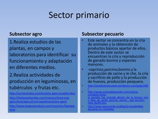 Sector primario
Subsector agro
1.Realiza estudios de las
plantas, en campos y
laboratorios para identificar su
funcionamiento y adaptación
en diferentes medios.
2.Realiza actividades de
producción en leguminosas, en
tubérculos y frutas etc.
http://correorevista.com/local/es-agro-el-patito-feo/
http://thebestofzambia.com/industry/food-and-
agriculture/agricultural-equipment/saro-agro/
http://www.tajagroproducts.com/countries/Georgia.
html
Subsector pecuario
• Este sector se concentra en la cría
de animales y la obtención de
productos básicos apartar de ellos.
Dentro de este sector se
encuentran la cría y reproducción
de ganado bovino y especies
menores.
• -caprinos,porcino,bovino.y la
producción de carne y le che, la cría
y sacrificio de pollo y la producción
de huevos, producción pesquera.
• http://senabuenasnuevas.wordpress.com/page/269
/
• http://www.cronicadelquindio.com/noticia-
completa-titulo-
el_quindio_fue_incluido_dentro_de_la_tercera_zon
a_libre_de_peste_porcina_clasica__ppc-seccion--
nota-36243.htm
• http://www.agromundo.co/blog/la-trazabilidad-
pecuaria-en-colombia/
 