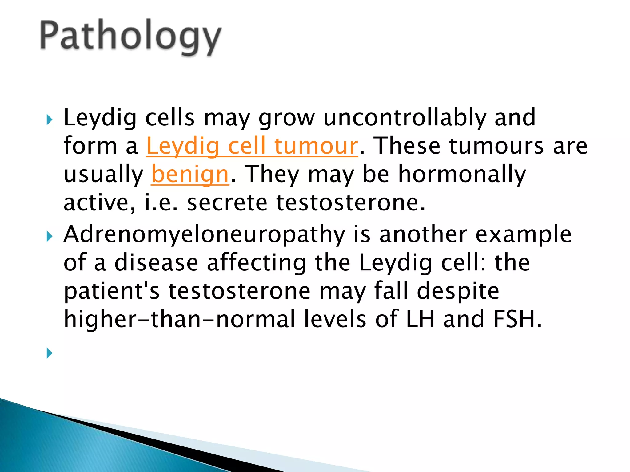Leydig cells may grow uncontrollably and form a Leydig cell tumour. These tumours are usually benign. They may be hormonally active, i.e. secrete testosterone.Adrenomyeloneuropathy is another example of a disease affecting the Leydig cell: the patient's testosterone may fall despite higher-than-normal levels of LH and FSH. Pathology