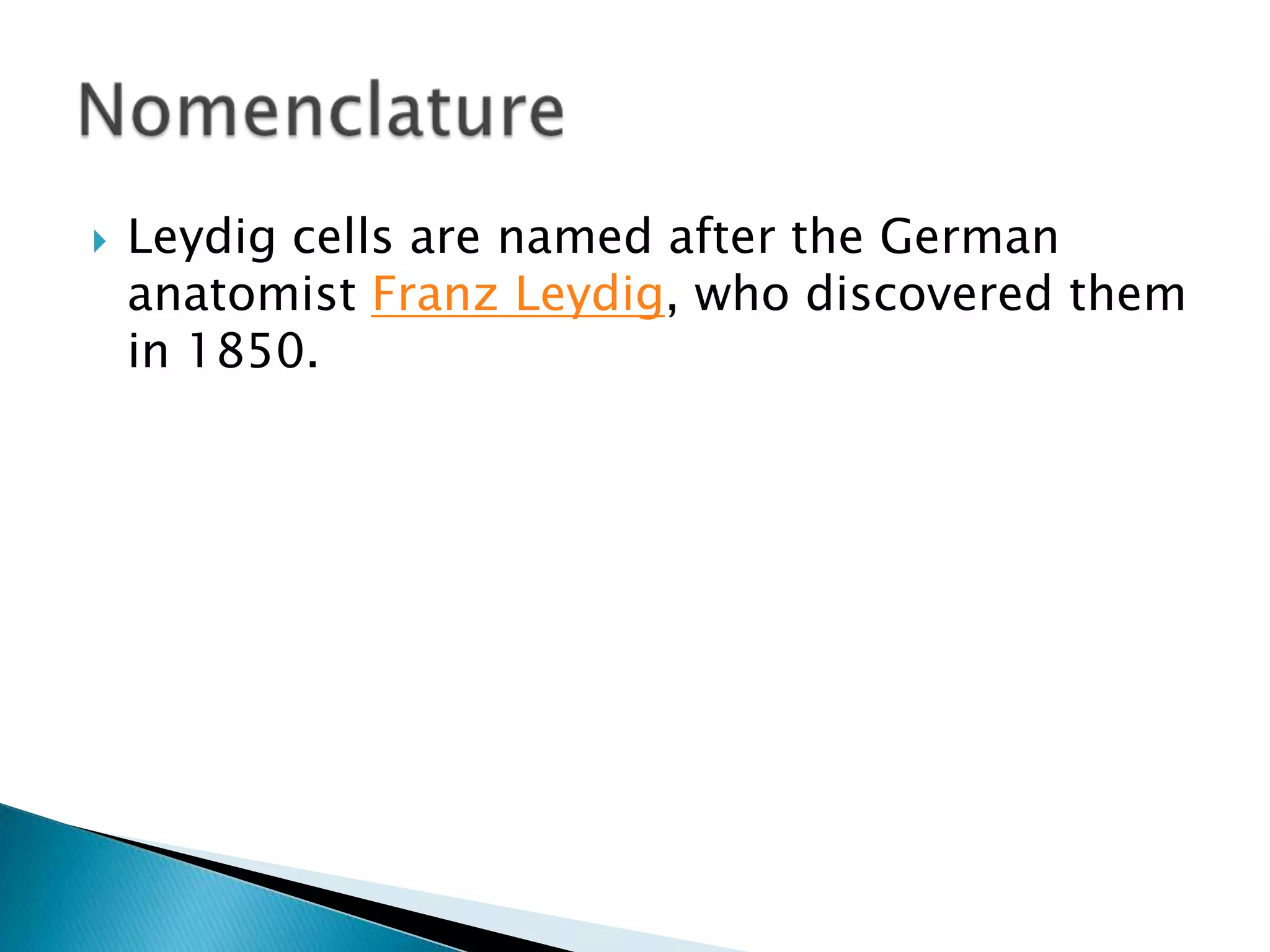 Leydig cells are named after the German anatomist Franz Leydig, who discovered them in 1850. Nomenclature