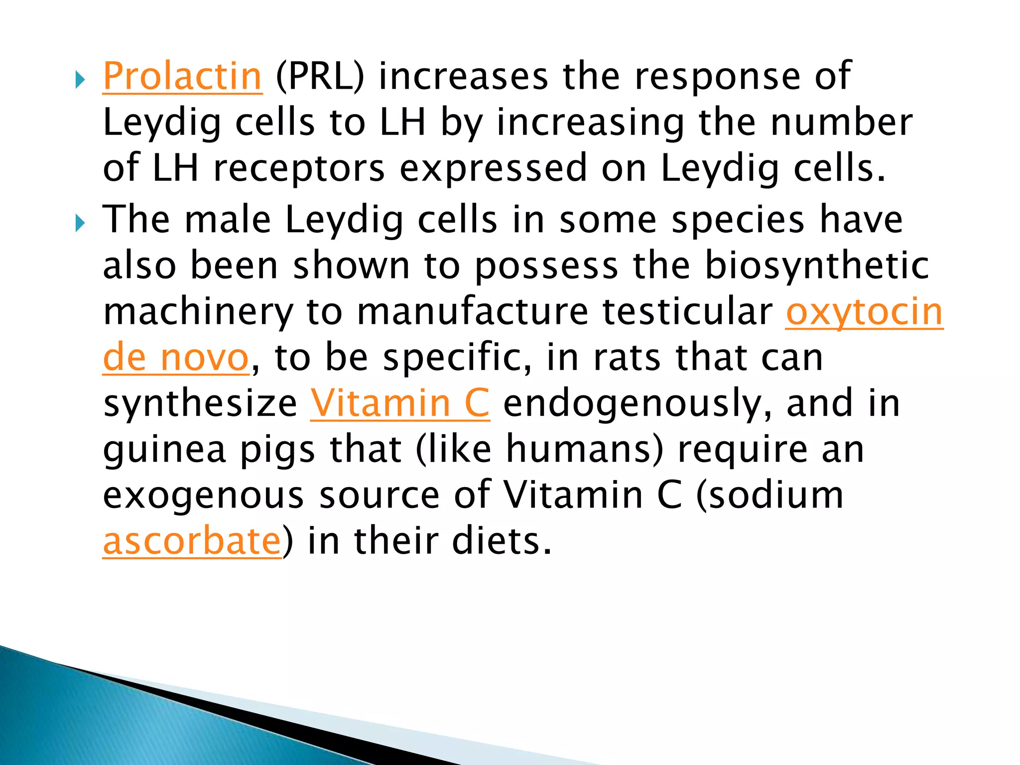 Prolactin (PRL) increases the response of Leydig cells to LH by increasing the number of LH receptors expressed on Leydig cells.The male Leydig cells in some species have also been shown to possess the biosynthetic machinery to manufacture testicular oxytocinde novo, to be specific, in rats that can synthesize Vitamin C endogenously, and in guinea pigs that (like humans) require an exogenous source of Vitamin C (sodium ascorbate) in their diets. 