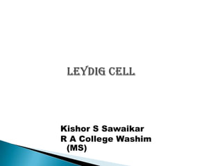 Leydig cell Kishor S Sawaikar R A College Washim (MS) 