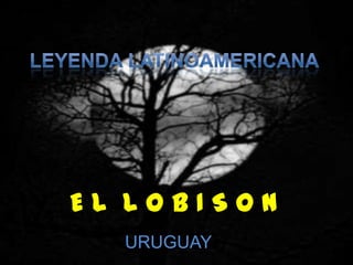 EL LOBISON
  URUGUAY
 
