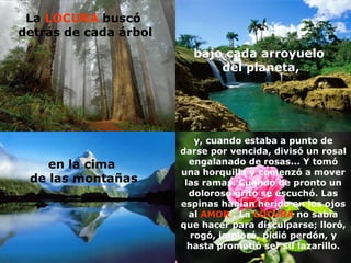 La  LOCURA  buscó  detrás de cada árbol bajo cada arroyuelo del planeta, en la cima  de las montañas y, cuando estaba a punto de darse por vencida, divisó un rosal engalanado de rosas... Y tomó una horquilla y comenzó a mover las ramas. Cuando de pronto un doloroso grito se escuchó. Las espinas habían herido en los ojos al  AMOR  . La  LOCURA  no sabía que hacer para disculparse; lloró, rogó, imploró, pidió perdón, y hasta prometió ser su lazarillo. 