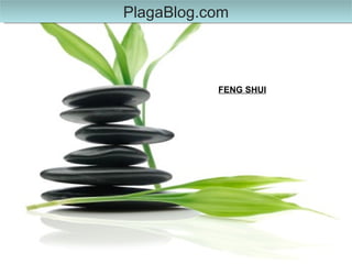 FENG SHUI   PlagaBlog.com 