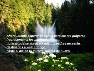 Ahora intenta separar de forma paralela tus pulgares  (representan a los padres),  notaras que se abren porque tus padres no están  destinados a vivir contigo  hasta el día de tu muerte, únelos de nuevo.   