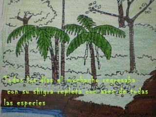 Todos los días el muchacho regresaba con su shigra repleta con aves de todas las especies 