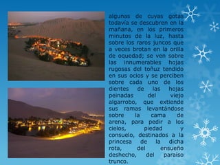 algunas de cuyas gotas
todavía se descubren en la
mañana, en los primeros
minutos de la luz, hasta
sobre los raros juncos que
a veces brotan en la orilla
de oquedad; se ven sobre
las innumerables hojas
rugosas del toñuz tendido
en sus ocios y se perciben
sobre cada uno de los
dientes de las hojas
peinadas del viejo
algarrobo, que extiende
sus ramas levantándose
sobre la cama de
arena, para pedir a los
cielos, piedad y
consuelo, destinados a la
princesa de la dicha
rota, del ensueño
deshecho, del paraíso
trunco.
 