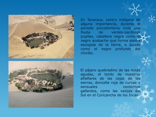 En Tacaraca, centro indígena de
alguna importancia, durante el
período precolombino vivía una
ñusta de verdes-pardosas
pupilas, cabellera negra como el
negro azabache que forma piedra
escogida de la tierra, o quizás
como el negro profundo del
chivillo.
El pájaro quebradino de las notas
agudas, el tordo de nuestros
alfalfares de las cejas de las
sierras, doncella roja de curvas y
sensuales contornos
gallardos, como las vasijas del
Sol en el Coricancha de los Incas.
 