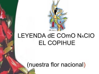 LEYENDA dE COmO NACIO
     EL COPIHUE


  (nuestra flor nacional)
 
