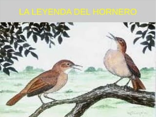 LA LEYENDA DEL HORNERO
 