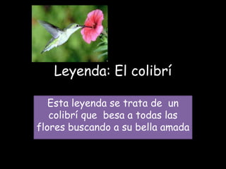 Leyenda: El colibrí

   Esta leyenda se trata de un
   colibrí que besa a todas las
flores buscando a su bella amada
 
