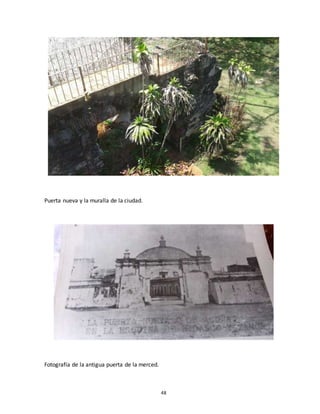 48
Puerta nueva y la muralla de la ciudad.
Fotografía de la antigua puerta de la merced.
 
