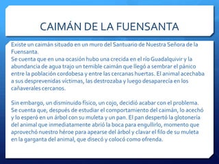 CAIMÁN DE LA FUENSANTA
Existe un caimán situado en un muro del Santuario de Nuestra Señora de la
Fuensanta.
Se cuenta que en una ocasión hubo una crecida en el río Guadalquivir y la
abundancia de agua trajo un temible caimán que llegó a sembrar el pánico
entre la población cordobesa y entre las cercanas huertas. El animal acechaba
a sus desprevenidas víctimas, las destrozaba y luego desaparecía en los
cañaverales cercanos.
Sin embargo, un disminuido físico, un cojo, decidió acabar con el problema.
Se cuenta que, después de estudiar el comportamiento del caimán, lo acechó
y lo esperó en un árbol con su muleta y un pan. El pan despertó la glotonería
del animal que inmediatamente abrió la boca para engullirlo, momento que
aprovechó nuestro héroe para apearse del árbol y clavar el filo de su muleta
en la garganta del animal, que disecó y colocó como ofrenda.
 