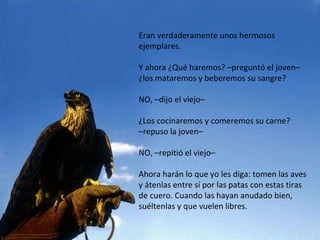 Eran verdaderamente unos hermosos ejemplares.  Y ahora ¿Qué haremos? –preguntó el joven–  ¿los mataremos y beberemos su sangre?  NO, –dijo el viejo–  ¿Los cocinaremos y comeremos su carne?  – repuso la joven–  NO, –repitió el viejo–  Ahora harán lo que yo les diga: tomen las aves  y átenlas entre sí por las patas con estas tiras  de cuero. Cuando las hayan anudado bien, suéltenlas y que vuelen libres. 