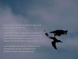 El guerrero y la joven hicieron lo que se les pedía y soltaron las aves.  El águila y el halcón intentaron levantar el vuelo pero sólo consiguieron elevarse unos poco metros y cayeron al suelo... y así estuvieron intentándolo una y otra vez.  Unos minutos más tarde, irritadas por la incapacidad, las aves arremetieron a picotazos entre sí hasta lastimarse.   