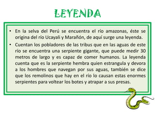 LEYENDA
• En la selva del Perú se encuentra el río amazonas, éste se
  origina del río Ucayali y Marañón, de aquí surge una leyenda.
• Cuentan los pobladores de las tribus que en las aguas de este
  río se encuentra una serpiente gigante, que puede medir 30
  metros de largo y es capaz de comer humanos. La leyenda
  cuenta que es la serpiente hembra quien estrangula y devora
  a los hombres que navegan por sus aguas, también se dice
  que los remolinos que hay en el río lo causan estas enormes
  serpientes para voltear los botes y atrapar a sus presas.
 